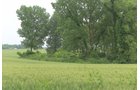 Lake County, Indiana farmland - LAND AUCTION - 147+/- ACRES OFFERED IN 3 TRACTS IN LAKE COUNTY, INDIANA